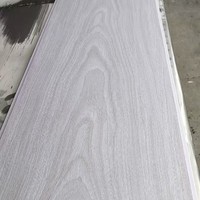 Panneau de plafond suspendu en PVC imperméable au design moderne et populaire pour les applications dans les salles de bain, les hôtels et les hôpitaux