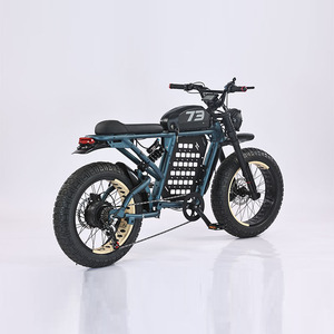 Bicicleta Eléctrica Urbana de Alto Rendimiento, Motor Trasero de 1000W, Batería de Litio de 48V 25Ah, 7 Velocidades, Alta Velocidad, JYOP-RX - Product Image 2