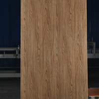 Papan Dekor Tekstur Kayu Marmer Tahan Api Tahan Air High Pressure Laminate (HPL) untuk Panel Dinding Kabinet