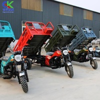 Motocyclette à trois roues à essence pour le transport de marchandises, tricycle/rickshaw, mini camion