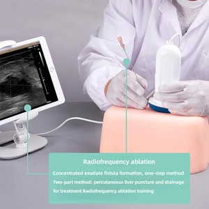 Modello Multifunzionale in Silicone per Addestramento a Puntura Ecografica Addominale, per Biopsia e Drenaggio PTCD - Product Image 5