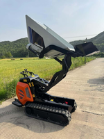 Chaungxin 2026 Kleiner Raupentransporter für den Heimgebrauch, Stehender Hydraulischer Kletterer mit 600kg Tragfähigkeit, Mini-Raupenfahrzeug mit Motorlager