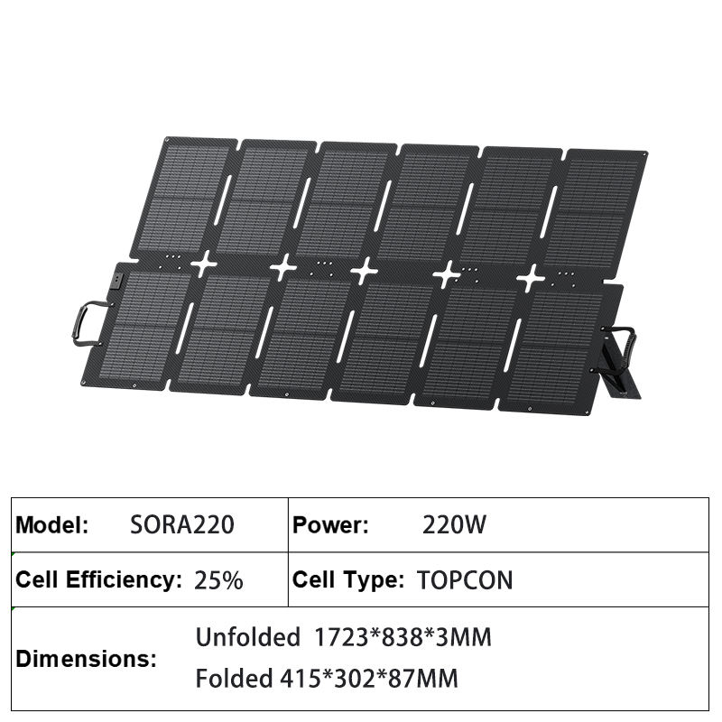Panneau solaire 220W