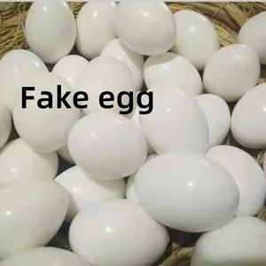 Telur Pigeon buatan yang bisa diganti dengan telor asli kualitas tinggi untuk Pigeon - Product Image 1