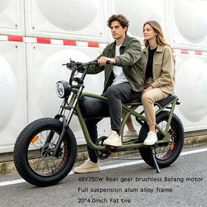 Nouveau Design OEM Vélo Électrique Cruiser Vintage Cafe Racer avec Batterie Lithium Tubulaire 48V, Longue Autonomie, pour Neige et Plage, Chopper Fat - Product Image 2