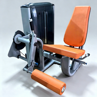 Machine d'extension des jambes assise professionnelle, construction en acier, pile de poids de 80 kg, utilisation universelle, équipement de fitness pour salle de sport