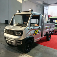 Mini camion électrique 4 roues 2 places, petit véhicule utilitaire, véhicule multi-usage