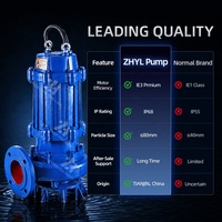 Pompe submersible anti-colmatage pour la gestion des solides, pompe à eaux usées submersible pour le transfert de boues et de sédiments en usine de biogaz