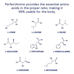 Integratore di aminoacidi essenziali Private Label con <span class=keywords><strong>BCAA</strong></span> per allenamento e muscoli Pre/Post - Product Image 4
