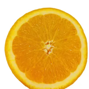 new crop good quality Fresh citrus fruit orange Summer Valencia oranges navel oranges