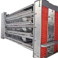 Nouvel équipement complet et entièrement automatique pour l'élevage de poulets à 4 niveaux, cage en batterie en acier galvanisé, machine de collecte automatique des œufs et des excréments