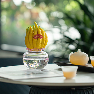 Florero de Vidrio Estilo Chino, Recipiente para Plantas Hidropónicas, Vidrio de Borosilicato de Alta Calidad, Decoración de Escritorio con Vegetación - Product Image 3
