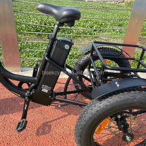 Bicicleta eléctrica de 3 ruedas, triciclo de neumáticos anchos, 24x4,0 - Product Image 5