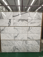 Dalles de marbre poli Goldtop OEM/ODM en marbre blanc italien Carrara Statuario pour villas, écologiques, garantie 5 ans, imperméables