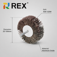 Disque abrasif en alumine REX monté sur broche pour le meulage de surface sur acier inoxydable et bois - Prise en charge OEM