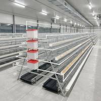 Équipement avicole pour élevage en batterie de type A : poulailler, poulailler d'élevage de poulets de chair, cage à œufs pour poules pondeuses