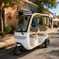 Tricycle Électrique Ouvert SumEV 3 Places pour Visites Touristiques, 60V, avec Auvent Pare-Soleil et Rideau Anti-Pluie, Autonomie 30-50km, Idéal pour le Transport dans les Zones Scéniques et les Complexes Hôteliers