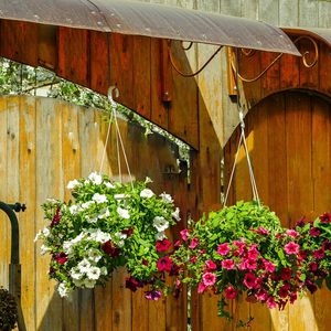 Móc treo cây kim loại màu đen 24 inch móc treo lớn trong nhà/ngoài trời hệ thống treo vườn cho cây cành cây chim - Product Image 6