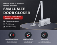 Ferme-porte automatique de petite taille avec bras réglable pour portes intérieures en bois de bureaux, hôtels et salles de classe