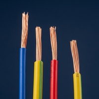 Fil électrique en cuivre pur 7 Hilis Stranded 12AWG 600V PVC, rouleau de 100m pour applications industrielles et de construction