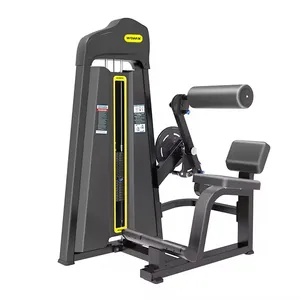 Hot sale gym equipment strength machine P19 fitness equipment abdominal Isolator machine