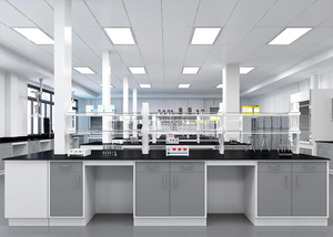 محطة عمل مخبرية معيارية - طاولة مختبر مخصصة، أثاث مختبرات، طاولة اختبار مع ملحقات - Product Image 3