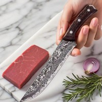 Couteau de Cuisine VG-10 en Acier Damas Qualité Supérieure Manche en Bois Japonais Étui en Cuir Tranchant Professionnel