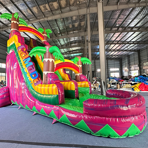 Tobogán Acuático Inflable de PVC de Grado Comercial, Color Rosa Personalizado, <span class=keywords><strong>con</strong></span> <span class=keywords><strong>Piscina</strong></span>, Castillo Hinchable y Zona de Saltos - Product Image 2