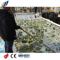 Complete installaties voor de verwerking van ananassap, inclusief sapverwerkingslijn en drankenproductie met fruit-sap pasteurisator.