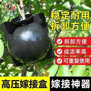 Plant Air Grafting Propagation Box Plastic Rooting Device For Home Gardening Seedling Cultivation Flower Tree Grafting Tool - Product Image 2