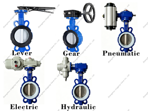 Brida doble de línea central DN50-DN600 para suministro de agua en edificios con estructura simple y menos componentes, lo que reduce el costo de fabricación. - Product Image 2