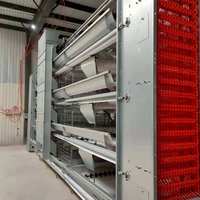Équipement d'élevage avicole en acier galvanisé, système de cages à poulets multi-niveaux automatiques de type H