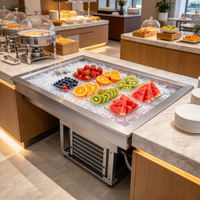 Table de préparation réfrigérée en acier inoxydable, robuste, avec plateau froid et surface anti-givre