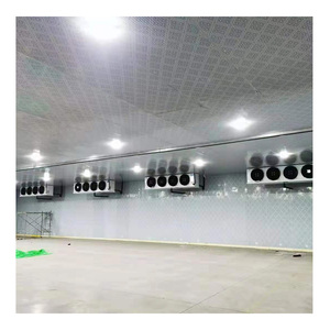 Constructor de Cámaras Frigoríficas a Gran Escala, Cámara Frigorífica para Almacenamiento de Frutas y Verduras, Sistema de Refrigeración, Cámara Frigorífica Modular - Product Image 6