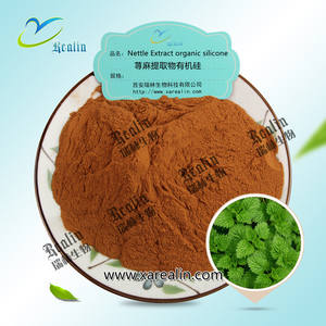 Extrato raiz urtiga erva chinesa 10:<span class=keywords><strong>1</strong></span> urtiga Extrato urtiga Folha Extrato - Product Image 2