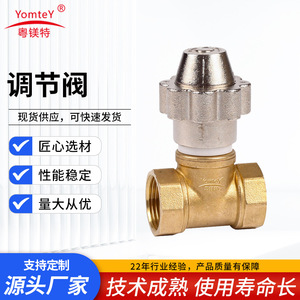Guangdong Magnesium Special Brass Temperature Control Valve 1 Inch For Water Regulation - Product Image 3