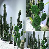 Plantes artificielles décoratives : Cactus pour salles de diffusion en direct, plantes en pot artificielles pour vitrines intérieures, plantes en pot sur le thème du désert