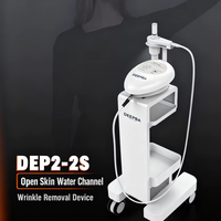 Appareil de beauté portable Litian ABS à électroporation dermique superconductrice, 2200Hz, impulsion 10W, pour salon et usage domestique