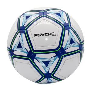 具有竞争力的价格定制足球，带您的标志尺寸5聚氯乙烯室内室外训练