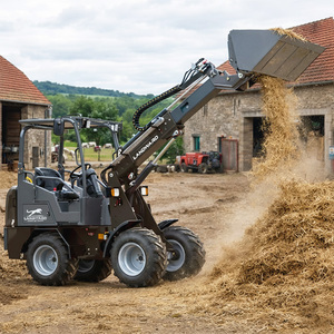Wholesale Farm Use Telescopic W1150t Engine <b>Wheel</b> with Mini Hydraulic <b>Small</b> Sale High Performance - Product Image 1
