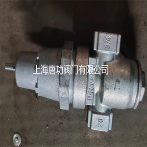 Vanne de réduction de pression Tang Gong DN15 3/4, type diaphragme à ressort réglable, pour alimentation en eau et drainage - Product Image 2