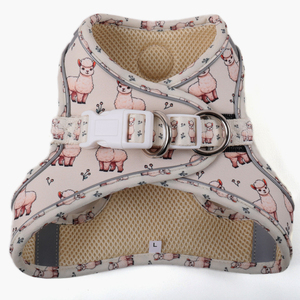 Ensemble de collier de harnais pour chien avec impression de fournitures pour animaux de compagnie Attaches à crochet et à boucle Harnais en laisse pour petits chiens - Product Image 2