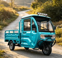 Fabricant chinois de tuk-tuk électrique CKD 1500W pour l'Afrique, tricycle à trois roues pour passagers et marchandises, 2 places, fermé, capacité de charge de 800 kg, E