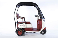 Tricycle électrique à trois roues 800w personnalisé moto pour adultes corps ouvert 60v tension acier EEC/DOT passager