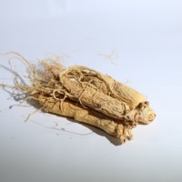 Çin Jilin Changbai Dağı Ginseng Sağlıklı Gıda Tabletleri %100 Saf Yetişkinler İçin