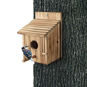 บ้านนกป่ากล่องบ้านนก2รูแขวนสำหรับบ้านนกกลางแจ้งบ้านนก - Product Image 2