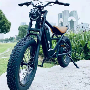 Vélo de montagne à suspension intégrale CE, pneus larges de 20 pouces, vélo électrique de Chine OEM, Fat Boy Mountain Bike 48v750w Fat Bo - Product Image 6