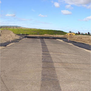 Géogrille <span class=keywords><strong>en</strong></span> HDPE à vente chaude, géocellule, amélioration du terrain, renforcement de la voie ferrée, écologique, prix d'usine, commande <span class=keywords><strong>en</strong></span> gros - Product Image 3