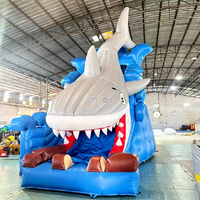 Toboggan aquatique gonflable avec piscine amovible et château gonflable combiné, équipement de parc d'attractions aquatique extérieur pour enfants