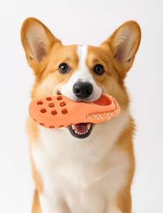 Juguete Masticable para Perros con Forma de Zapatilla, con Cuerda, Dispensador de Golosinas, Juguete Interactivo de TPR para Perros - Product Image 4